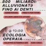 Complicità ecologiche